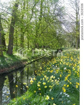 Landscape of Cambridge 3638506