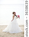 Beach photo 3638639
