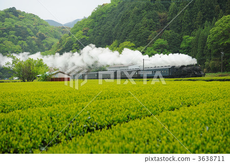 茶田和蒸汽機車 3638711