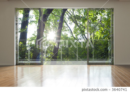 View from the window 3640741