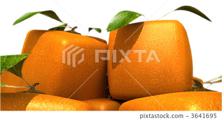 Futuristic oranges close-up 3641695