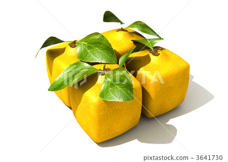 Lemon pack 3641730