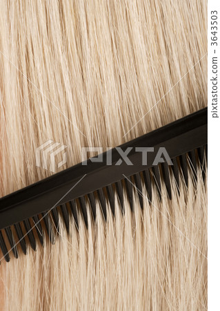 Combing blond hair 3643503