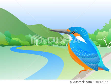 Satoyama的翠鳥 3647133