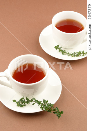  Herb tea  3647279