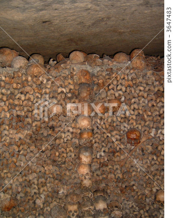 葉尼塞柯爾克孜 3647483