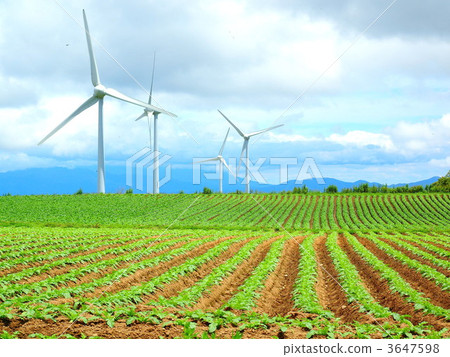 Kowo Plateau 3647598