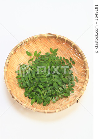 Sansho leaves 3649191