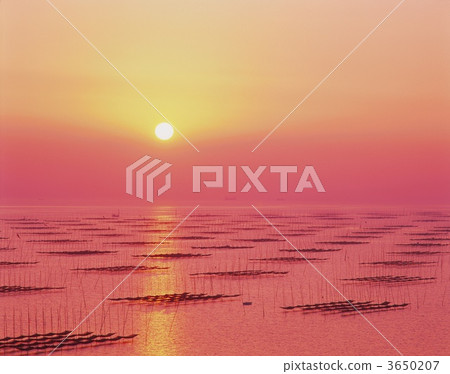 evening scene, night scene, sunset 3650207
