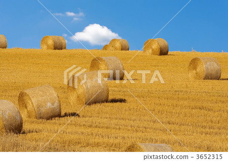 bales of hay 3652315