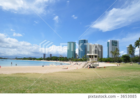 夏威夷的假期 3653085