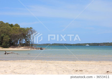 澳大利亞弗雷澤島 3653411