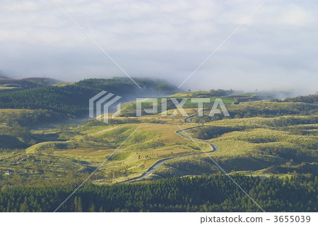 path, showplace, oita prefecture 3655039