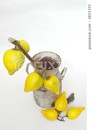 乳頭水果 茄屬植物 剪花 3655355