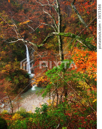 Oyama Fall of autumn leaves 3655366