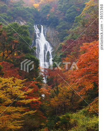 Kannawa Falls of autumn leaves 3655368