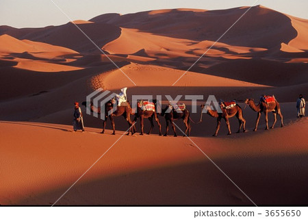 撒哈拉大沙漠的晚上景觀 3655650