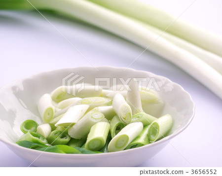高寒白韭菜的高寒栽培 3656552
