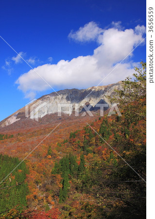 秋葉Daisan 3656559