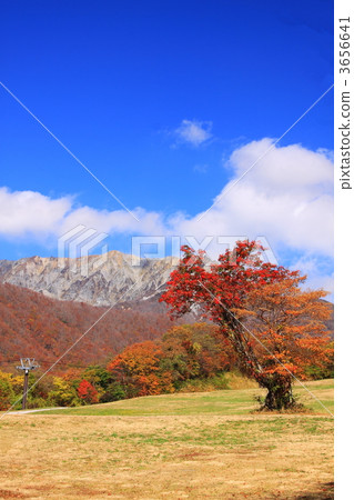 Oku Oyama秋葉滑雪場 3656641