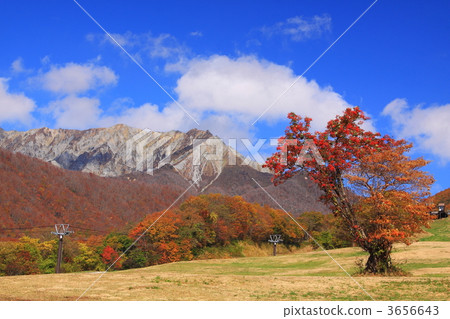 Oku Oyama秋葉滑雪場 3656643