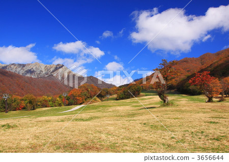 Oku Oyama秋葉滑雪場 3656644