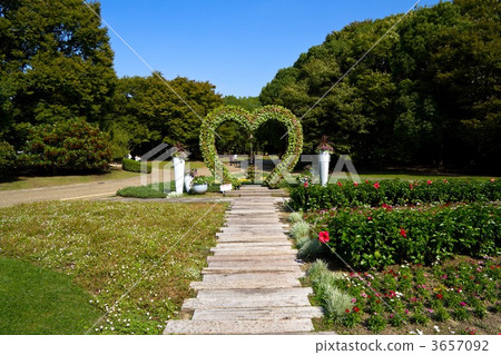 Nagai Botanical Garden 3657092