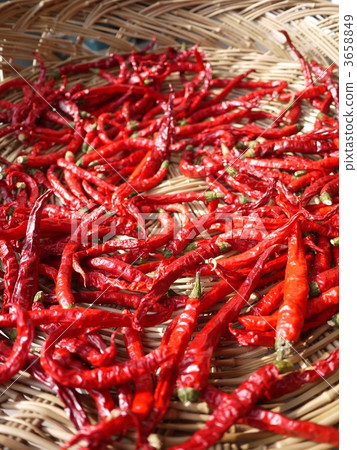 Purple series red red pepper 3658849