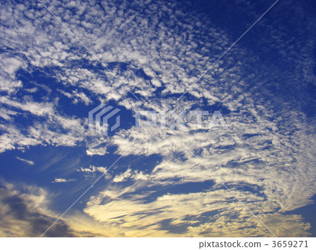 狡猾的鯖魚 卷積雲 天空 3659271