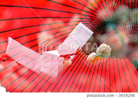 甲骨文 抽籤 日本杏花 3659298