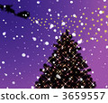 christmas tree, christmas trees, xmas-tree 3659557