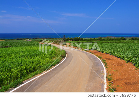 road, route, blank expression 3659776