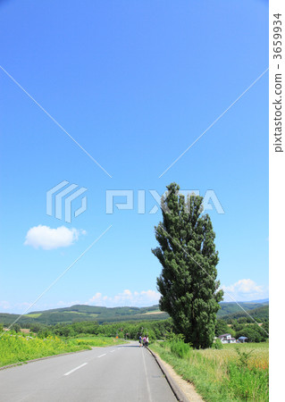 Ken and Mary's tree Ken and Mary's tree 3659934