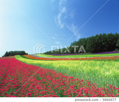 花園 景點 風景名勝 3660977
