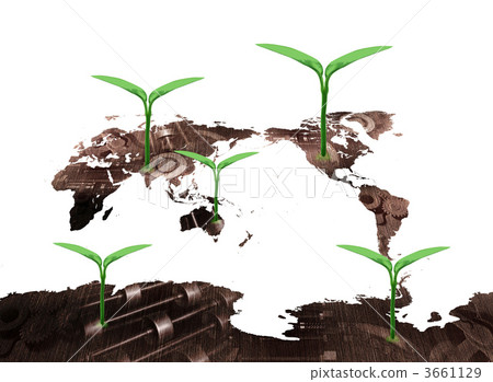 二葉 雙葉 蓓蕾 3661129