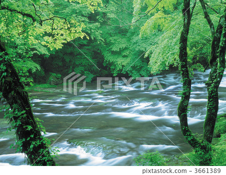 canyon, valley, mountain stream 3661389