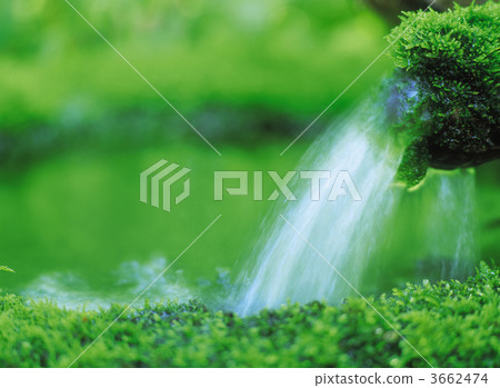 泉水 苔蘚 春天 3662474