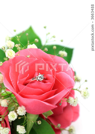 Rose with diamond ring 3663488