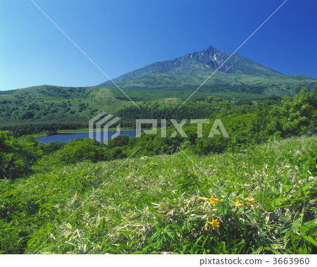 利尻富士 利尻山 萬里無雲 3663960