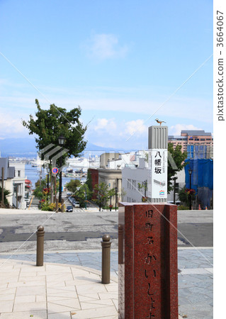 八幡山 3664067