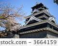 熊本城 3664159