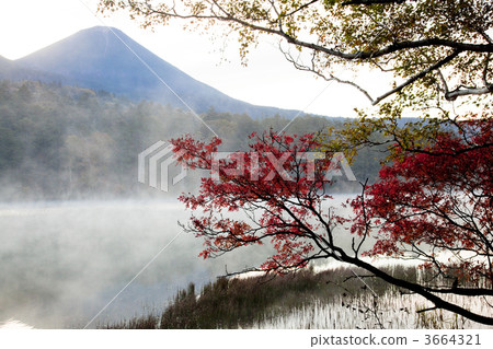 阿寒國家公園的Onnetoto 3664321