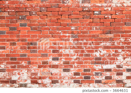 Brick wall Brick wall 3664631