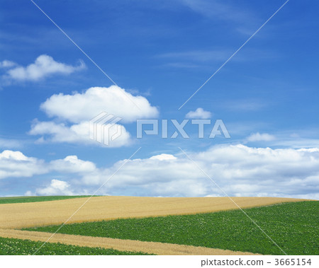 錯落有致的道路 原野 田地 3665154