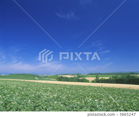 錯落有致的道路 原野 田地 3665247