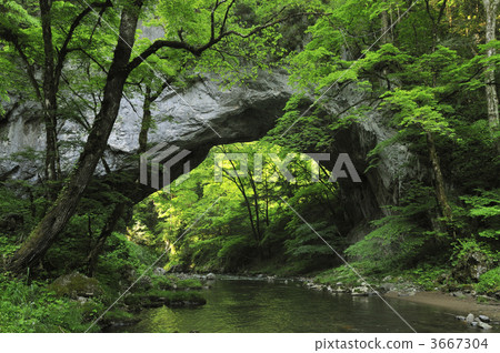 natural monument, protected species, scenic spots 3667304