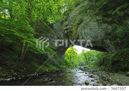 帝釋峽 天然紀念物 受保護物種 3667307