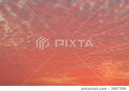 cirrocumulus cloud, sunset, cloud 3667399