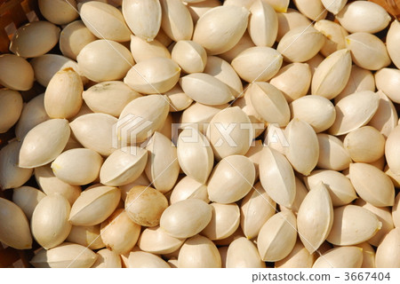 ginkgo seed, foodstuff, autumn 3667404