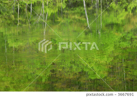 lake surface, Yuki lake, water surface 3667691